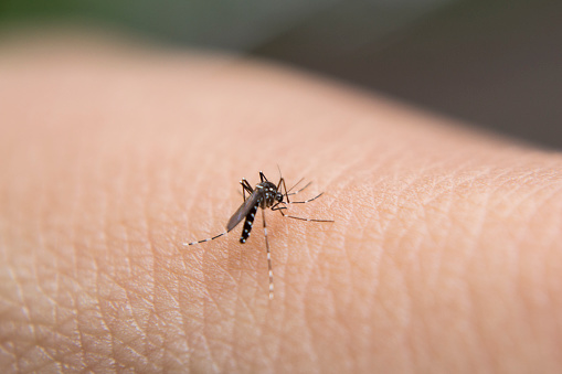 CALABARZON, idineklarang Malaria-free ng DOH